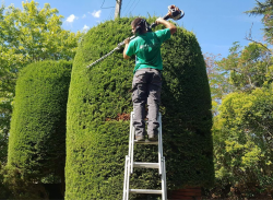 Entretien de jardin à L'Union
